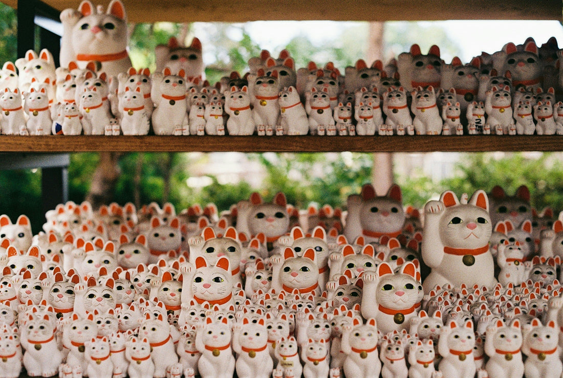 What Does the Lucky Cat Mean? Lucky Cat Symbolism in Chinese New Year – Dim Sum Social Club